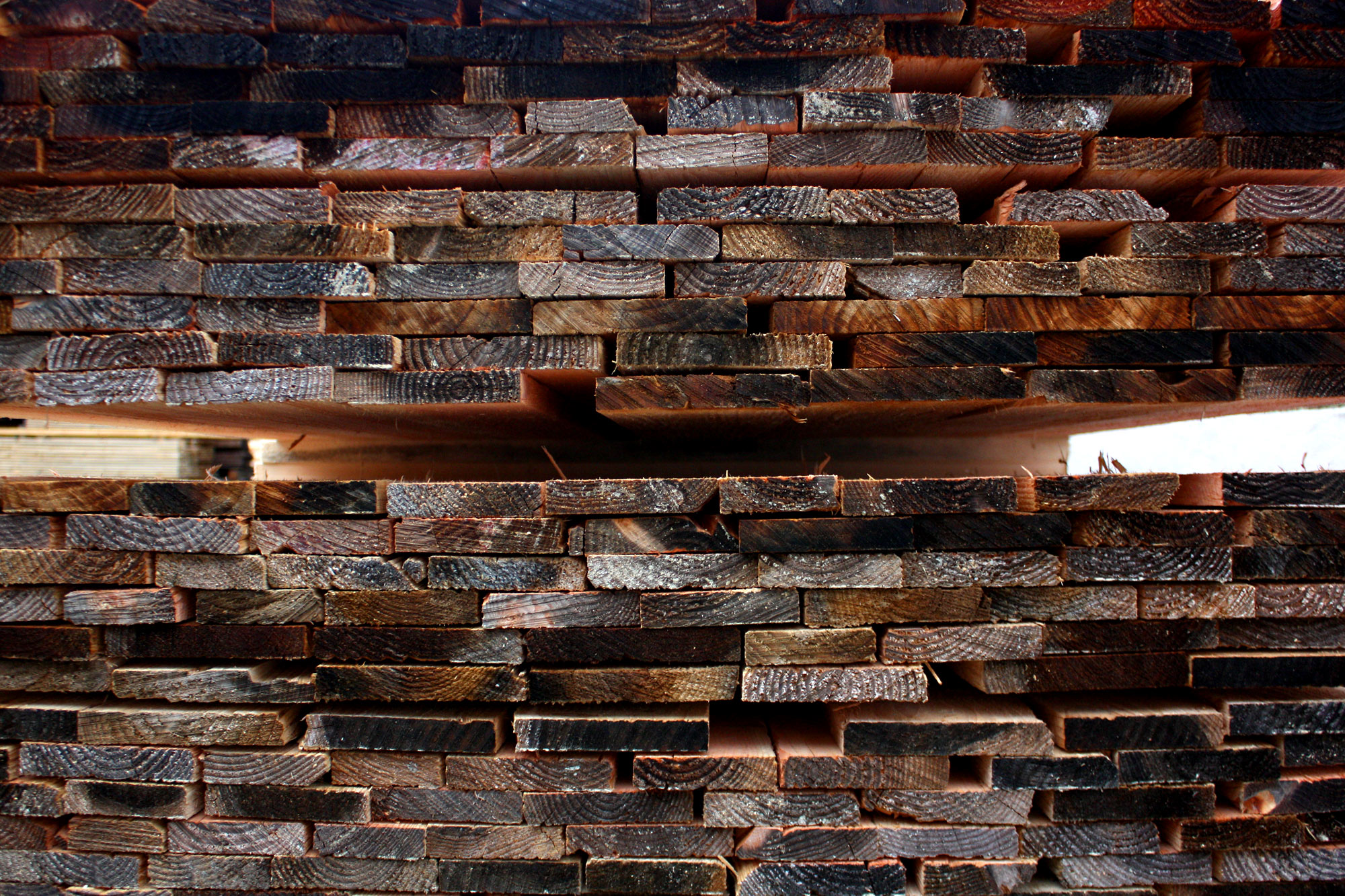 Das Sägewerk Seidl in Hollenthon hat sich auf die Douglasie spezialisiert