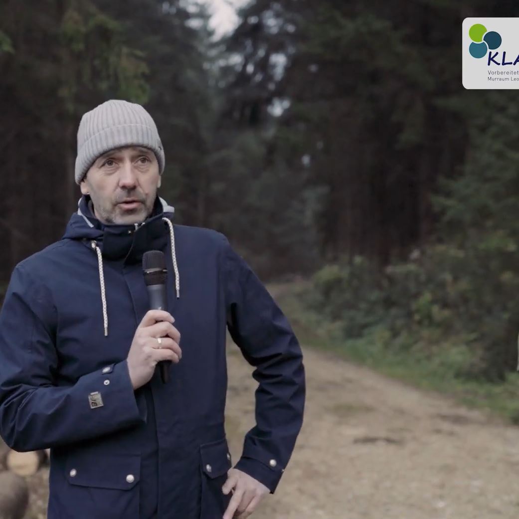 Video: Waldspaziergang am Häuslberg