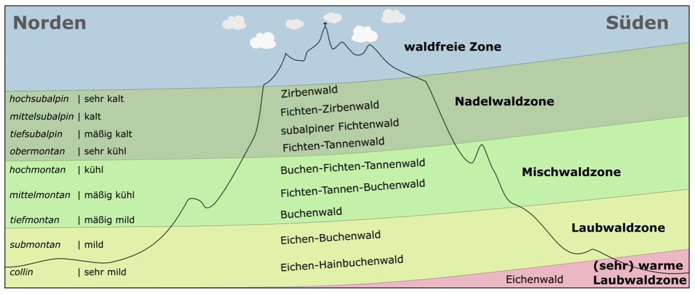 Kapitel 1.2  Klimafitter Wald